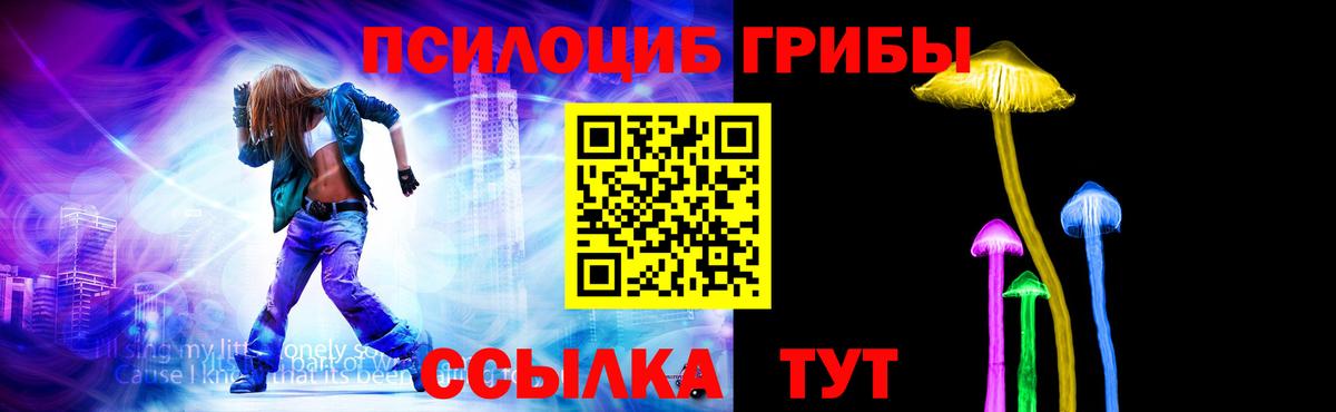 Ливны  Псилоцибиновые грибы Psilocybe  Вход с VPN  Галлюциногенные грибы прущие грибы 